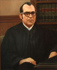 Hon. José V. Toledo, United States Federal Court, Puerto Rico