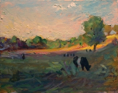 Field of Cows